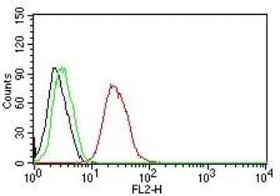 Flow Cytometry: ER beta/NR3A2 Antibody (ERb455) - Azide and BSA Free [NBP2-33066] - Flow Cytometry for human ER-beta on MCF-7 cells. Black: cells alone; Green: Isotype Control; Red: PE-labeled ER beta/NR3A2 Mouse Monoclonal Antibody (ERb455).