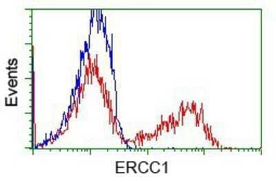 Flow Cytometry: ERCC1 Antibody (OTI1A3) - Azide and BSA Free [NBP2-70662] - HEK293T cells transfected with either pCMV6-ENTRY ERCC1.(Red) or empty vector control plasmid (Blue) were immunostaining with anti-ERCC1 mouse monoclonal, and then analyzed by flow cytometry.