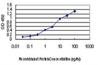 ELISA: ERK2 Antibody (1D1) [H00005594-M01] - Detection limit for recombinant GST tagged MAPK1 is approximately 0.1ng/ml as a capture antibody.