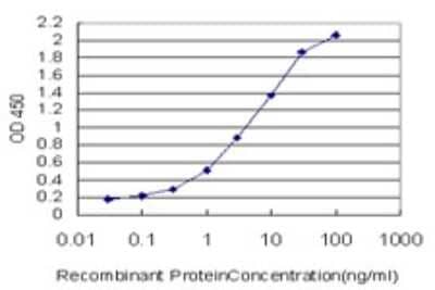 Sandwich ELISA: ERK2 Antibody (1D1) [H00005594-M01] - Detection limit for recombinant GST tagged MAPK1 is approximately 0.03ng/ml as a capture antibody.