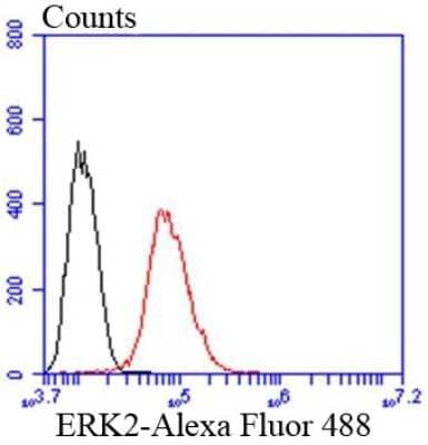 Flow Cytometry: ERK2 Antibody (SZ25-01) [NBP2-67360] - Analysis of Hela cells with ERK2 antibody at 1/50 dilution (red) compared with an unlabelled control (cells without incubation with primary antibody; black). Alexa Fluor 488-conjugated goat anti rabbit IgG was used as the secondary antibody.