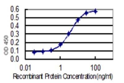Sandwich ELISA Capture: ERK3/MAPK6 Antibody (4C11) [H00005597-M02] - Detection limit for recombinant GST tagged ERK3/MAPK6 is 0.3 ng/ml as a capture antibody.