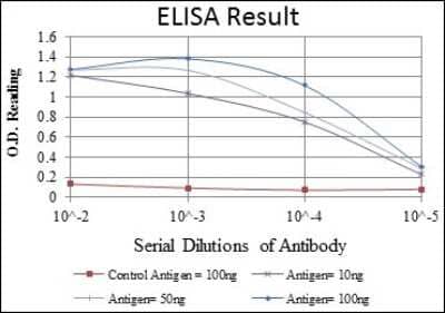 ELISA: ERK3/MAPK6 Antibody (4E8) [NBP2-37616] - Red: Control Antigen (100ng); Purple: Antigen (10ng); Green: Antigen (50ng); Blue: Antigen (100ng);