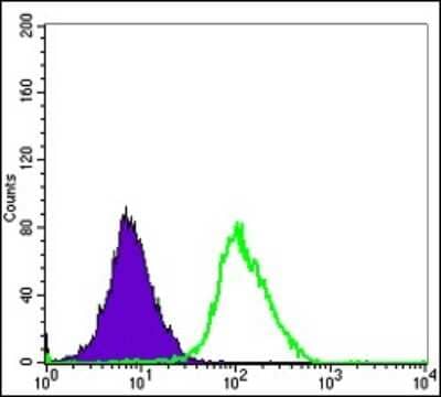 Flow Cytometry: ERK3/MAPK6 Antibody (4E8) [NBP2-37616] - Flow cytometric analysis of Hela cells using ERK3 mouse mAb (green) and negative control (purple).