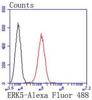 Flow Cytometry: ERK5/BMK1 Antibody (SD2084) [NBP2-67802] - Analysis of A549 cells with ERK5 antibody at 1/50 dilution (red) compared with an unlabelled control (cells without incubation with primary antibody; black). Alexa Fluor 488-conjugated goat anti rabbit IgG was used as the secondary antibody.