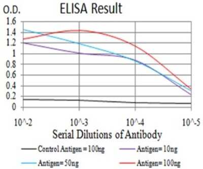 ELISA: ERR alpha/NR3B1 Antibody (1A6E11) [NBP2-61769] - Black line: Control Antigen (100 ng);Purple line: Antigen (10ng); Blue line: Antigen (50 ng); Red line:Antigen (100 ng)