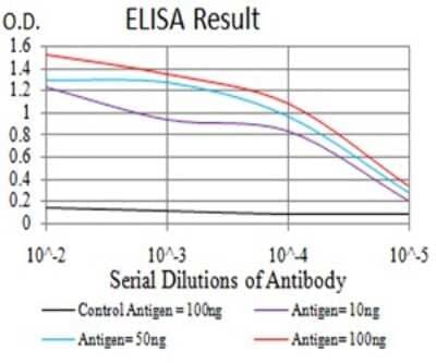 ELISA: ERR alpha/NR3B1 Antibody (6F1E6) [NBP2-61768] - Black line: Control Antigen (100 ng);Purple line: Antigen (10ng); Blue line: Antigen (50 ng); Red line:Antigen (100 ng)