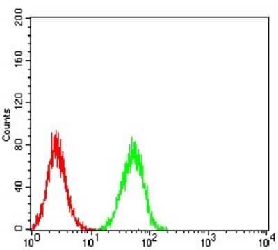 ELISA: ERR alpha/NR3B1 Antibody (6F1E6) [NBP2-61768] - Analysis of Hela cells using ESRRA mouse mAb (green) and negative control (red).