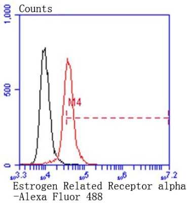 Flow Cytometry: ERR alpha/NR3B1 Antibody (SC57-07) [NBP2-67556] - Analysis of Hela cells with Estrogen Related Receptor alpha antibody at 1/50 dilution (red) compared with an unlabelled control (cells without incubation with primary antibody; black). Alexa Fluor 488-conjugated goat anti rabbit IgG was used as the second