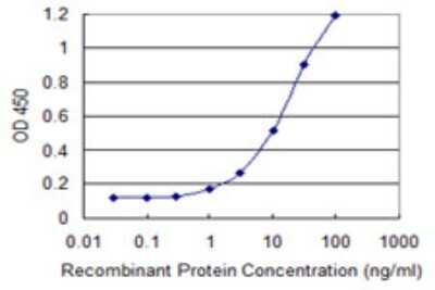 Sandwich ELISA: ESAM Antibody (1E4) [H00090952-M06] - Detection limit for recombinant GST tagged ESAM is 0.3 ng/ml as a capture antibody.