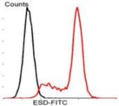 Flow Cytometry: ESD Antibody (J0-8) [NBP2-66825] - Analysis of Jurkat cells with ESD antibody at 1/100 dilution (blue) compared with an unlabelled control (cells without incubation with primary antibody; red). Goat anti mouse IgG (FITC) was used as the secondary antibody.