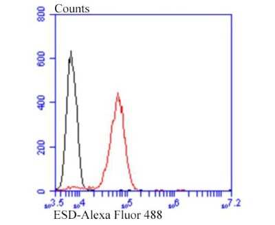 Flow Cytometry: ESD Antibody (J0-8) [NBP2-66825] - Flow cytometric analysis of ESD was done on Jurkat cells. The cells were fixed, permeabilized and stained with ESD antibody at 1/100 dilution (red) compared with an unlabeled control (cells without incubation with primary antibody; black). After incubation of the primary antibody on room temperature for an hour, the cells was stained with a Alexa Fluor(TM) 488-conjugated goat anti-mouse IgG Secondary antibody at 1/500 dilution.