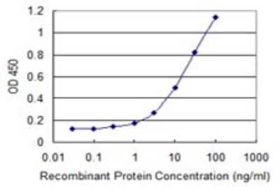 Sandwich ELISA: ETS1 associated protein II Antibody (3D11) [H00051567-M01] - Detection limit for recombinant GST tagged TTRAP is 0.3 ng/ml as a capture antibody.