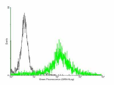 Flow Cytometry: EVI2A Antibody [H00002123-B01P] - Analysis of negative control 293 cells (Black) and EVI2A expressing 293 cells (Green) using EVI2A purified mouse polyclonal antibody.