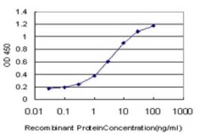 Sandwich ELISA: EVI2B Antibody (2G9) [H00002124-M02] - Detection limit for recombinant GST tagged EVI2B is approximately 0.1ng/ml as a capture antibody.