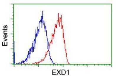 Flow Cytometry: EXD1 Antibody (OTI5B5) - Azide and BSA Free [NBP2-72443] - Analysis of Jurkat cells, using anti-EXD1 antibody, (Red), compared to a nonspecific negative control antibody (Blue).
