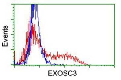 Flow Cytometry: EXOSC3 Antibody (1D6) [NBP2-02070] - HEK293T cells transfected with either overexpression plasmid (Red) or empty vector control plasmid (Blue) were immunostained by anti-EXOSC3 antibody, and then analyzed by flow cytometry.