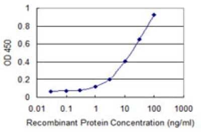 Sandwich ELISA EYS/RP25 Antibody (3F2)