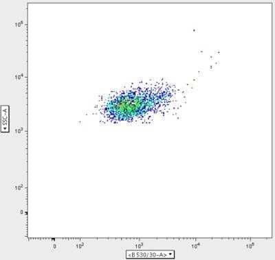 Flow Cytometry: Elastase Antibody (CELA3B/1811) - Azide and BSA Free [NBP2-54489] - Human bronchoalveolar lavage fluid. CF BALF cells stained for analysis by flow cytometry, gated on live neutrophils showing presence of NE on the cell surface. Flow cytometry image submitted by a verified customer review. Image from the Alexa Fluor 488 version of this antibody.