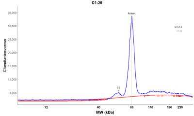 Simple Western: Enah/Vasp-like Antibody [NBP2-38132] - Electropherogram image of the corresponding Simple Western lane view. Enah/Vasp-like antibody was used at 1:25 dilution on MOLT-4 lysate(s) respectively.