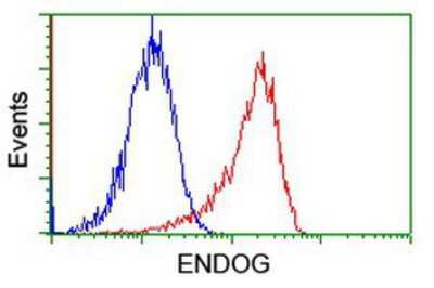 Flow Cytometry: Endo G Antibody (5F1) [NBP2-01696] - Analysis of Jurkat cells, using anti-Endo G antibody, (Red), compared to a nonspecific negative control antibody (Blue).