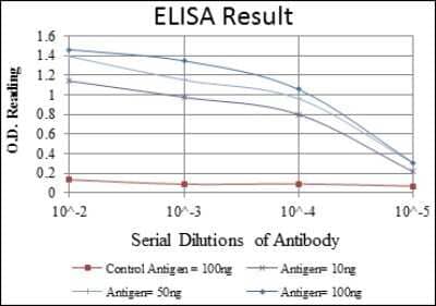 ELISA: Endoglin/CD105 Antibody (3A9) - Azide and BSA Free [NBP2-80719] - Red: Control Antigen (100ng), Purple: Antigen (10ng), Green: Antigen (50ng), Blue: Antigen (100ng). Image from the standard format of this antibody.