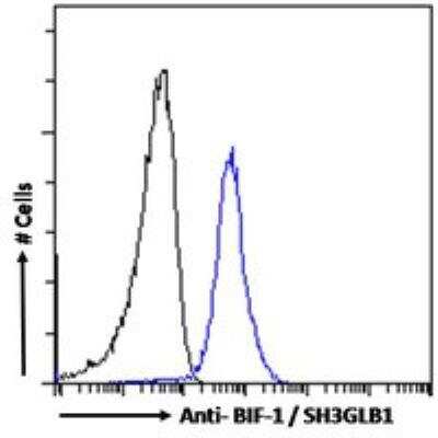 Flow Cytometry: Endophilin B1/Bif-1 Antibody [NB100-820] - Flow cytometric analysis of paraformaldehyde fixed A431 cells (blue line), permeabilized with 0.5% Triton. Primary incubation 1hr (10 ug/mL) followed by Alexa Fluor 488 secondary antibody (1 ug/mL). IgG control: Unimmunized goat IgG (black line) followed by Alexa Fluor 488 secondary antibody.