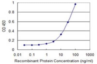 Sandwich ELISA: Endosialin/CD248/TEM1 Antibody (2A7) [H00057124-M12] - Detection limit for recombinant GST tagged CD248 is 0.3 ng/ml as a capture antibody.