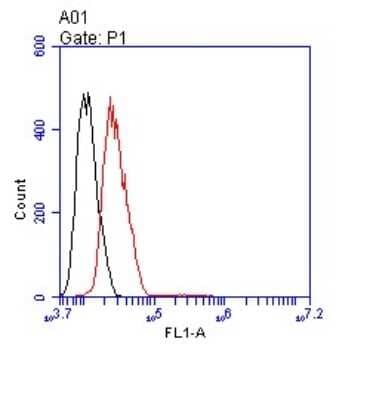 Flow Cytometry: Enolase 1 Antibody (JM63-53) [NBP2-75481] - Analysis of MCF-7 cells with ENO1 antibody at 1/100 dilution (red) compared with an unlabelled control (cells without incubation with primary antibody; black).