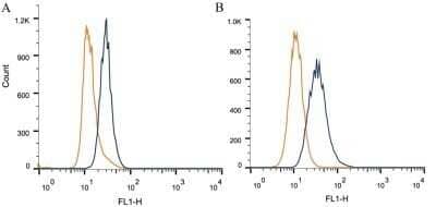 Flow Cytometry: EpCAM/TROP1 Antibody (AUA1) - Azide and BSA Free [NBP2-80721] - Intracellular flow cytometric staining of 1 x 10^6 CHO (A) and HeLa (B) cells using EpCAM/CD326 antibody (blue) and matched Isotype control (orange). An antibody concentration of 1 ug/1x10^6 cells was used. Image from the standard format of this antibody.