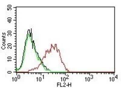 Flow Cytometry: EpCAM/TROP1 Antibody (EGP40/837) - (ECD) - Azide and BSA Free [NBP2-47877] - Flow Cytometry of human MCF-7 cells. Black: cells alone; Green: Isotype Control; Red: PE-labeled EpCAM/TROP1 Antibody (EGP40/837).