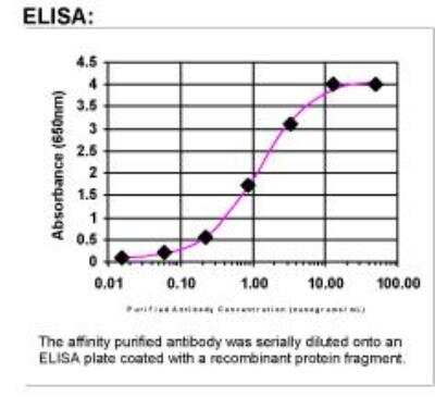 ELISA: EpCAM/TROP1 Antibody [19300002] - Affinity Purified