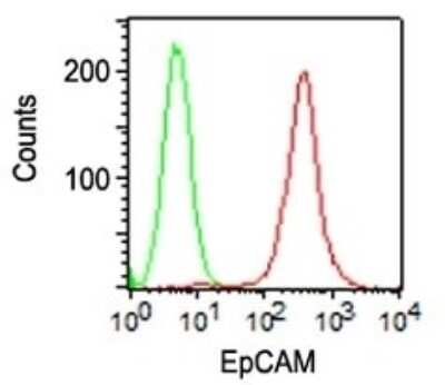 Flow Cytometry: EpCAM/TROP1 Antibody (SPM134) - (ECD) - Azide and BSA Free [NBP2-34398] - Flow Cytometry of HT29 cells. Black: cells alone; Green: Isotype Control; Red: PE-labeled EpCAM/TROP1 Monoclonal Antibody (SPM134).
