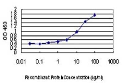 Sandwich ELISA: Epac2 Antibody (1C11) [H00011069-M01] - Detection limit for recombinant GST tagged RAPGEF4 is approximately 0.3ng/ml as a capture antibody.