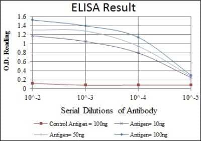 ELISA: EphA10 Antibody (2E8) [NBP2-37603] - Red: Control Antigen (100ng); Purple: Antigen (10ng); Green: Antigen (50ng); Blue: Antigen (100ng);