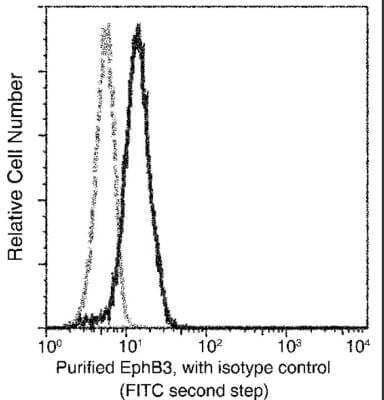 Flow Cytometry: EphB3 Antibody (001) [NBP2-90644] - Flow cytometric analysis of Mouse EphB3 expression on CoLo205 cells. Cells were stained with purified anti-Mouse EphB3, then a FITC-conjugated second step antibody. The fluorescence histograms were derived from gated events with the forward and side light-scatter characteristics of intact cells.