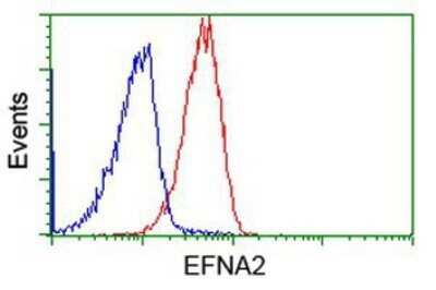 Flow Cytometry: Ephrin-A2 Antibody (OTI3E3) - Azide and BSA Free [NBP2-70622] - Analysis of Jurkat cells, using anti-Ephrin A2 antibody, (Red), compared to a nonspecific negative control antibody (Blue).
