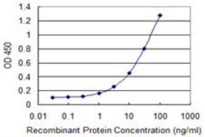 ELISA: ErbB2/Her2 Antibody (2D4) [H00002064-M02] - Detection limit for recombinant GST tagged ERBB2 is 0.3 ng/ml as a capture antibody.