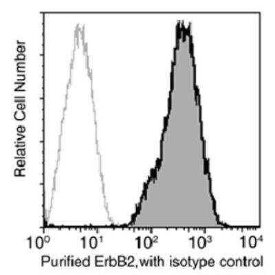 Flow Cytometry: ErbB2/Her2 Antibody (511) [NBP2-89187] - Analysis of anti-ErbB2  on SK-BR3 cells. SK-BR3 cells were detached using 1X trypsin, washed, then stained with Purified Rabbit anti-Human ErbB2. Second step staining with FITC conjugated Goat anti-Rabbit IgG polyclonal antibody (BD Pharmingen (R).