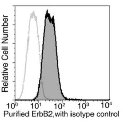 Flow Cytometry: ErbB2/Her2 Antibody (511) [NBP2-89187] - Analysis of anti-ErbB2 on MCF-7 cells. MCF-7 cells were detached using 1X trypsin, washed, then stained with purified rabbit anti-human ErbB2. Second step staining with FITC conjugated goat anti-rabbit IgG (H+L) polyclonal antibody.