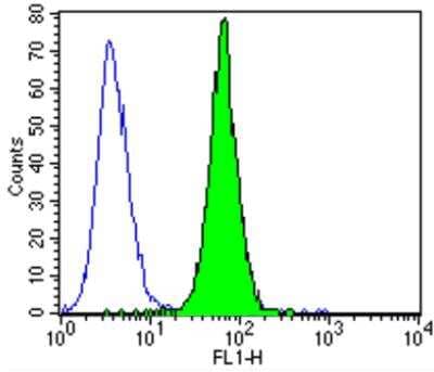 Flow Cytometry: ErbB4/Her4 Antibody (H4.77.16) [NB120-3104] - Analysis of HER-4 in MCF-7 cells (green) compared to an isotype control (blue).