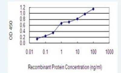 ELISA: Erythropoietin/EPO Antibody (1B12) [H00002056-M02-100ug] - Detection limit for recombinant GST tagged EPO is 0.03 ng/ml as a capture antibody.