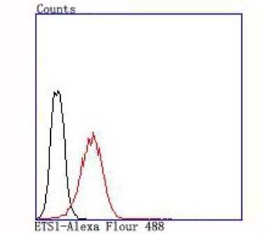 Flow Cytometry: Ets-1 Antibody (JM92-32) [NBP2-66826] - Analysis of Jurkat cells with ETS1 antibody at 1/100 dilution (red) compared with an unlabelled control (cells without incubation with primary antibody; black).