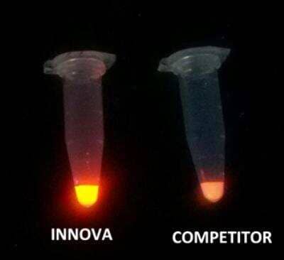 Europium Streptavidin MIDI Antibody Labeling Kit [1220-0120] - Comparison of Innova's 200nm Europium Streptavidin conjugates with a commercially available anti-biotin europium conjugate at 0.5% solids. Innova's conjugate is considerably brighter than the competitor product under UV excitation.
