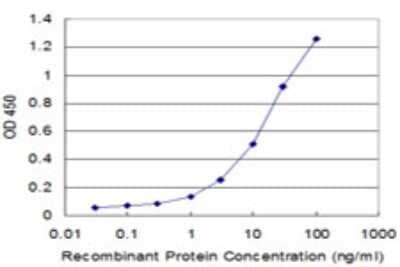 Sandwich ELISA: Exonuclease 1 Antibody (1H6) [H00009156-M02] - Detection limit for recombinant GST tagged EXO1 is approximately 1ng/ml as a capture antibody.