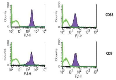 Flow Cytometry: Exosome Standards (A549 cell line) [NBP3-11645] - Phenotyping assays by FACS. Reconstituted Exosomes can be used for profiling biomarkers by FACS analysis. Recommended quantity: 5 ug of reconstituted Exosomes Standards for each test.