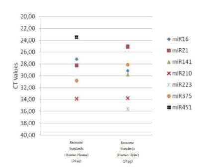 Nucleic Acid Extraction: Exosome Standards (Human Urine) [NBP2-49840] - Profiling of Exosome associated nucleic acids. Reconstituted Exosomes can be used for profiling nucleic acids (RNAs and DNA) biomarkers. The lysis buffer can be added directly to the Exosome preparation. Recommended quantity: 20-50 ug perreaction.