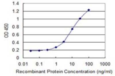 Sandwich ELISA: Exosome component 4 Antibody (4F10) [H00054512-M01] - Detection limit for recombinant GST tagged EXOSC4 is 0.1 ng/ml as a capture antibody.