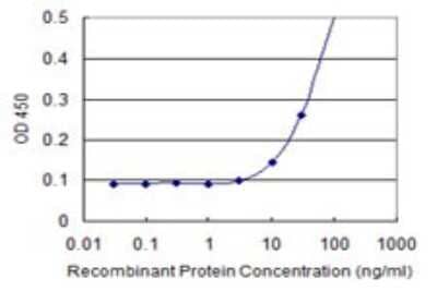 Sandwich ELISA: Exosome component 5 Antibody (1E11) [H00056915-M05] - Detection limit for recombinant GST tagged EXOSC5 is 3 ng/ml as a capture antibody.