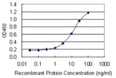 Sandwich ELISA: Exosome component 5 Antibody (2E7) [H00056915-M03] - Detection limit for recombinant GST tagged EXOSC5 is 0.3 ng/ml as a capture antibody.